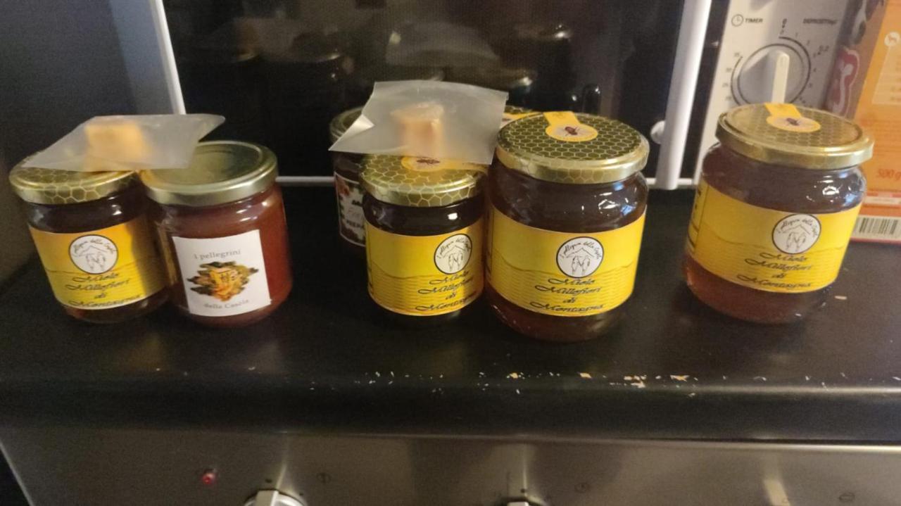B&B I Pellegrini Della Casela Bordogna 외부 사진